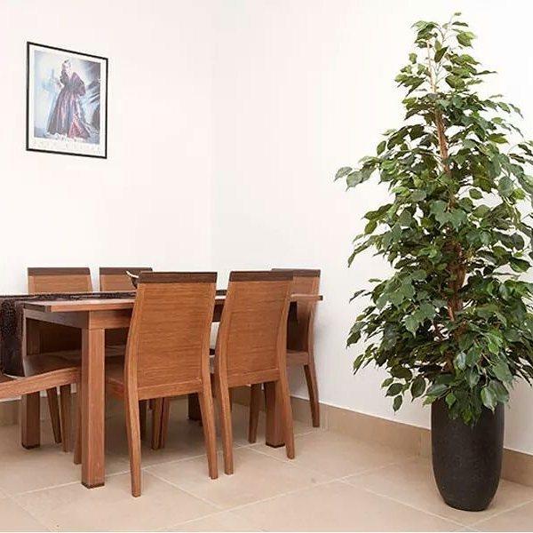Beau Views Apartment Peyia Luaran gambar